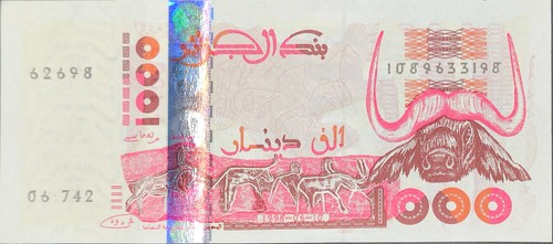 Banconota algeria 1000 - banconota,