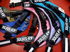 JULIUS-K9 Pettorina Taglia 3