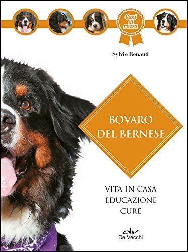 Bovaro bernese paperback - bernese, [paperback]