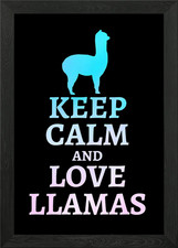 Mantieni la calma e ama lama