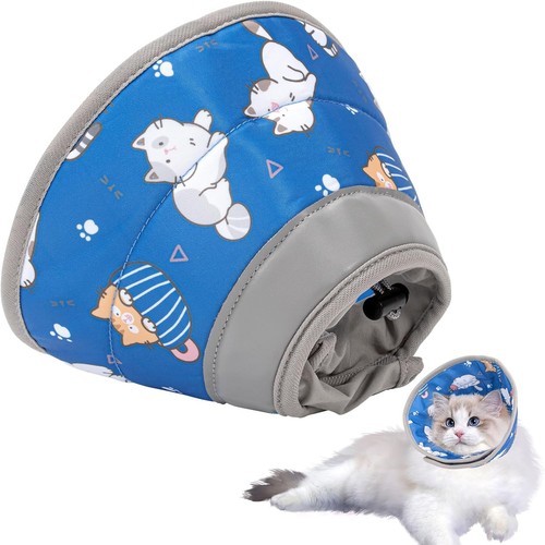 Collare elisabettiano gatto - elisabettiano,