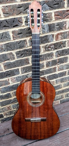 Greg bennett design samick - greg,