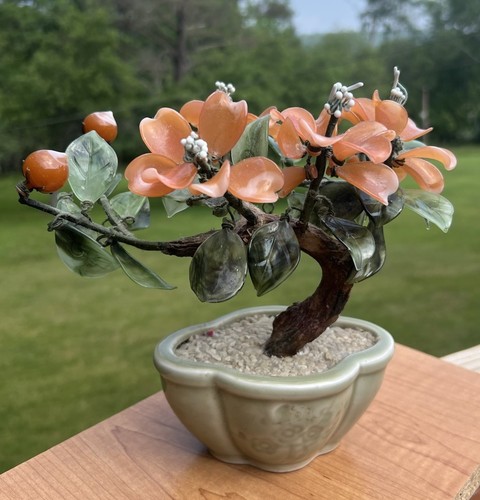 Bonsai vetro vintage - bonsai,