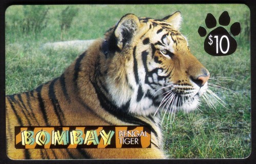 Issues bengala tigre - bengala, tigre,tigre
