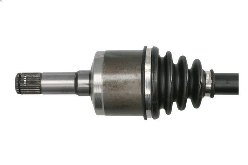 Albero motore pascal g2x043pc - motore,