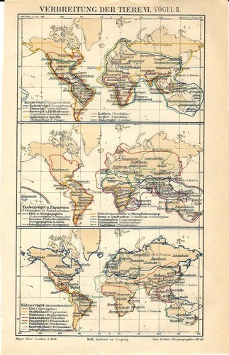 Carta geografica antica