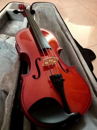 Strumento musicale viola - musicale,