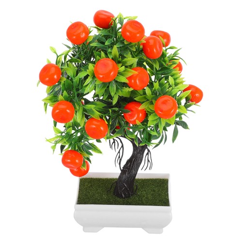 Albero frutto kumquat - di,