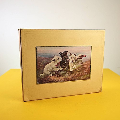 Scatola vintage cartone - vintage,