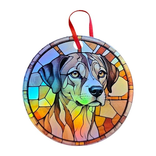Catahoula cane leopardo - , 2