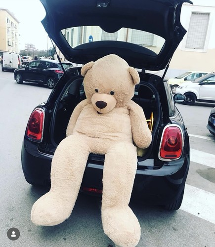 Orso peluche gigante - orso,