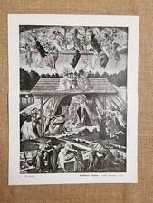 Natività Quadro di Botticelli Nella Galleria Nazionale di Londra nel 1928