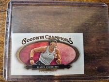 UD Goodwin Champions 2020