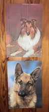 2 POSTER 3D ANNI 70 Made in ITALY Pastore Tedesco + Collie Scozzese
