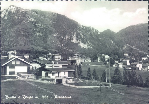 H542 cartolina provincia di - -,