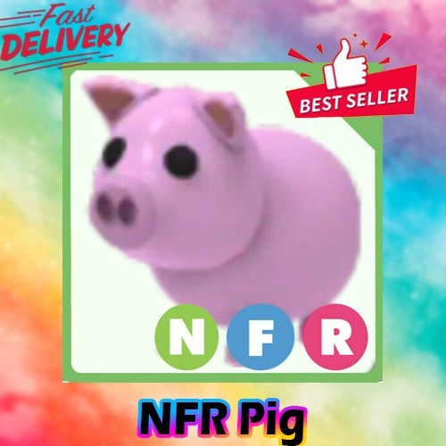 Nfr pig adotta - nfr, subito*