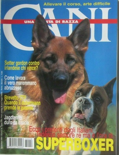 Cani setter - cani,