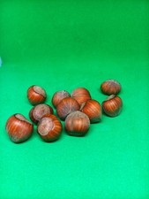 30 Kg Nocciole In Guscio