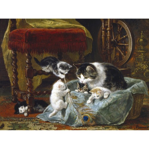 Una famiglia gatti - famiglia,
