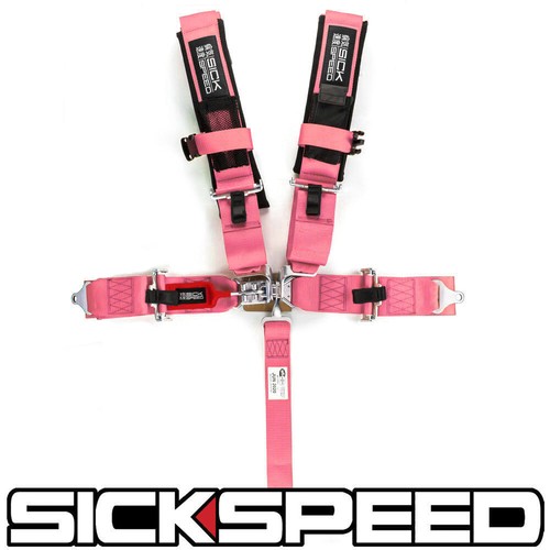 Rosa punto racing - punto,