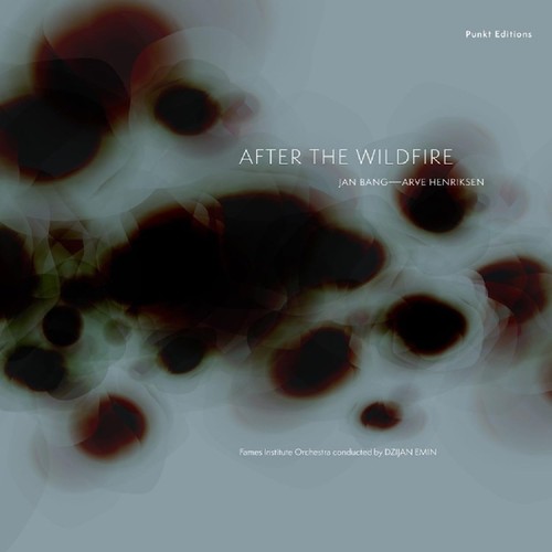 After the wildfire - (dvd), jan