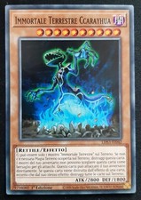 IMMORTALE TERRESTRE CCARAYHUA