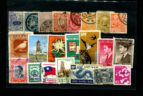 Asia scheda a innesto - scheda,