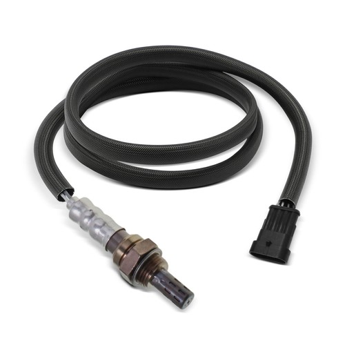 Oxygen sensor for bimota - oxygen,