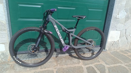 Focus thron 2023 - focus, 29"