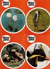 QUADERNI ANIMALI ANNI '70