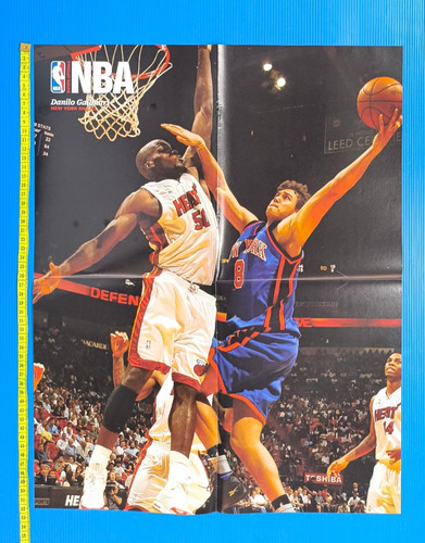 Poster danilo gallinari new - gallinari,