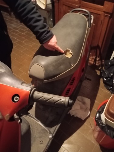 Motorino usato formula - 50,