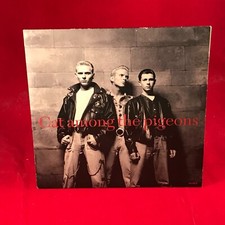 BROS Cat Among The Pigeons