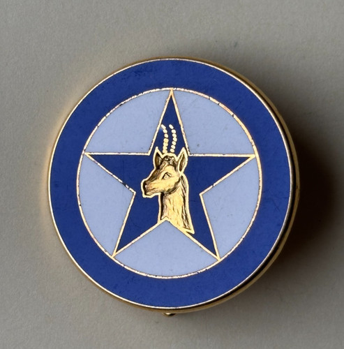 Distintivo squadrone algeria - distintivo,