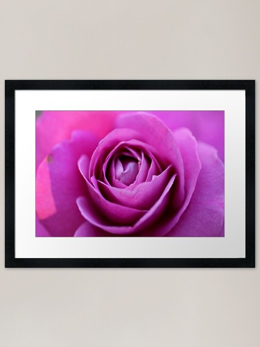 Quadro stampa artistica con - quadro,