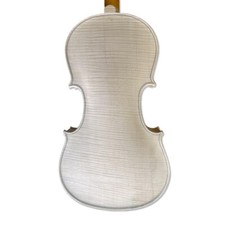 Violino professionale