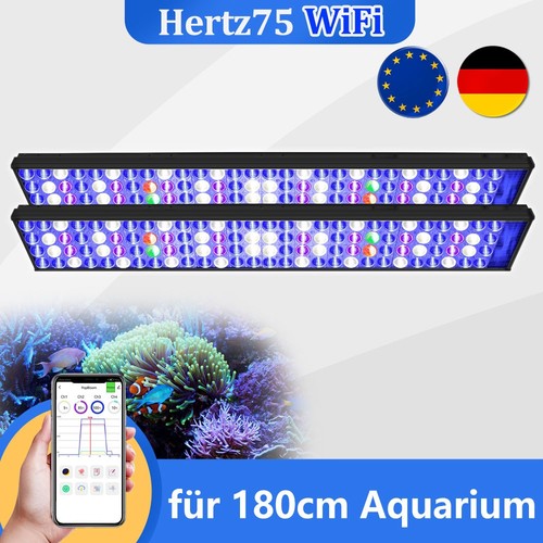 Popbloom h75 acquario marino - h75,