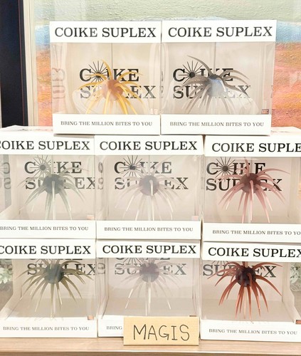 Hideup coike suplex esca - suplex,