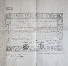 ATTESTATO CEDOLA DIPLOMA  UNIVERSITA' REGNO DELLE DUE SICILIE 1848