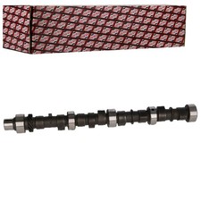 Ashika Albero A Camme