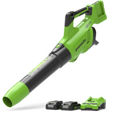 Greenworks Soffiatore Senza Fili 2x24V con 2 Batterie 2Ah e Caricatore 2A