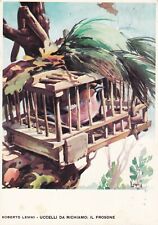 Roberto Lemmi Uccelli Da Richiamo Il Frosone Postcard used VGC