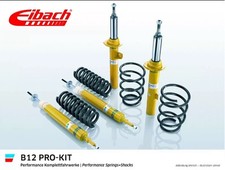 Eibach Bilstein Assetto B12
