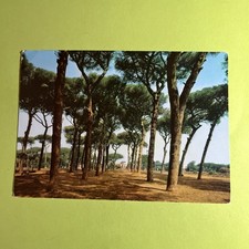 Fregene pineta viaggiata - fregene,