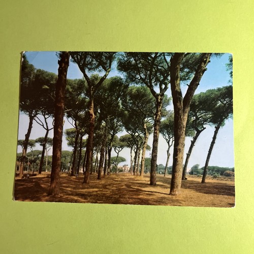 Fregene pineta viaggiata - la,