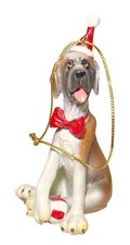 Great Dane Mastiff Hound Puppy