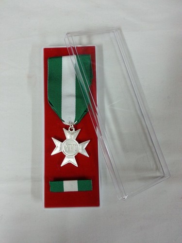 Medaglia nastrino argento - medaglia, e