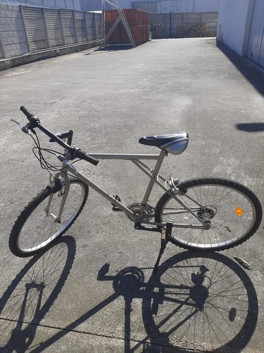 Mountain bike vintage