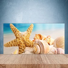 Paraschizzi da Cucina 100x50