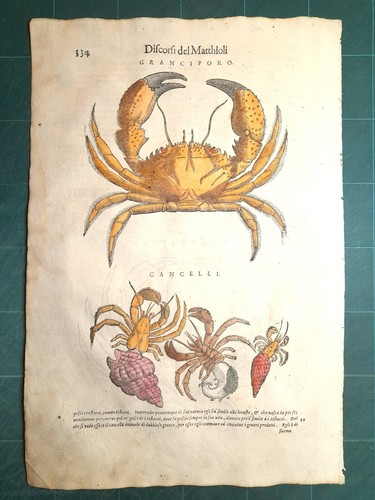 Mattioli matthioli erbario - matthioli,